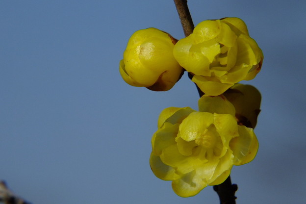 DSCF0173