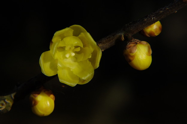 DSCF0197