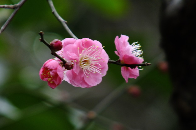 DSCF0260