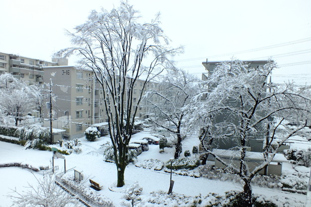 DSCF0010