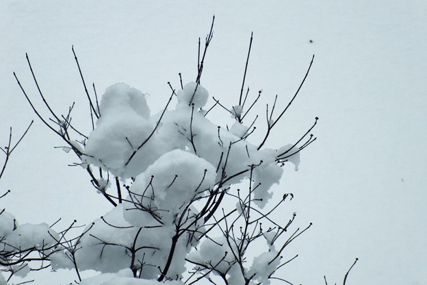 DSCF0033