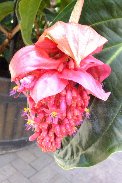 DSCF0154