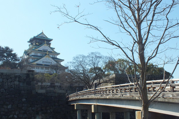 DSCF0388