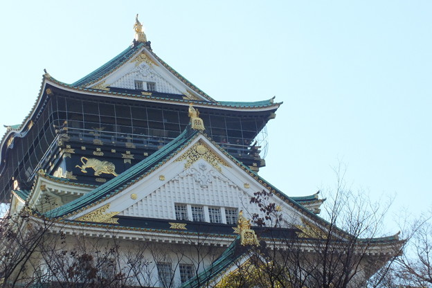 DSCF0395