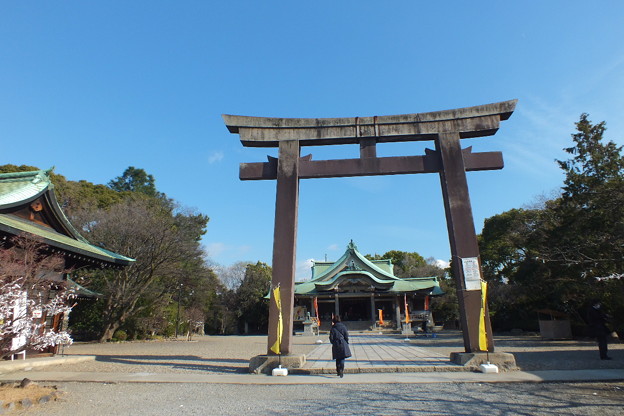 DSCF0473