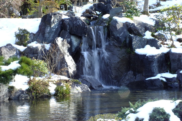 DSCF0286