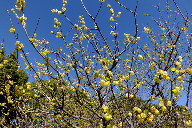 DSCF0084