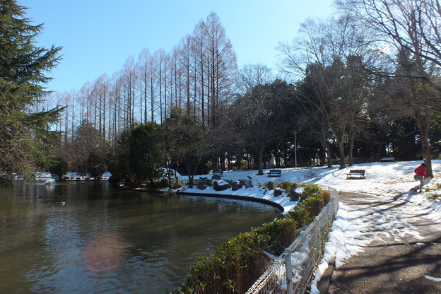 DSCF0165