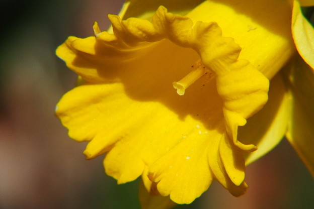 DSCF0017