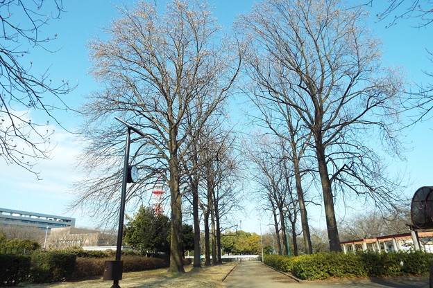 DSCF0413