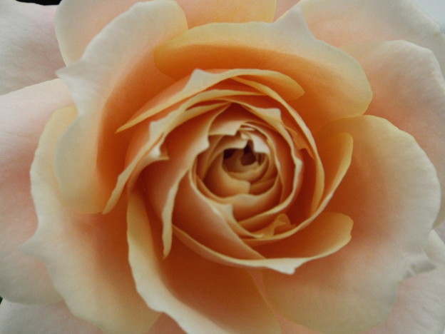 DSCF0409