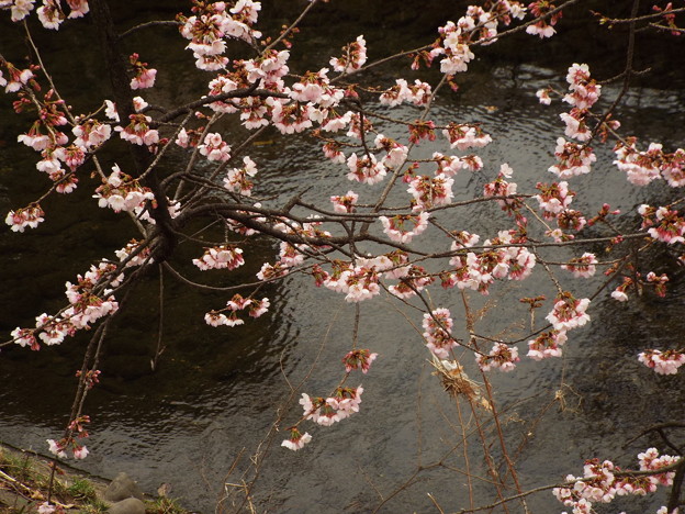 DSCF0158