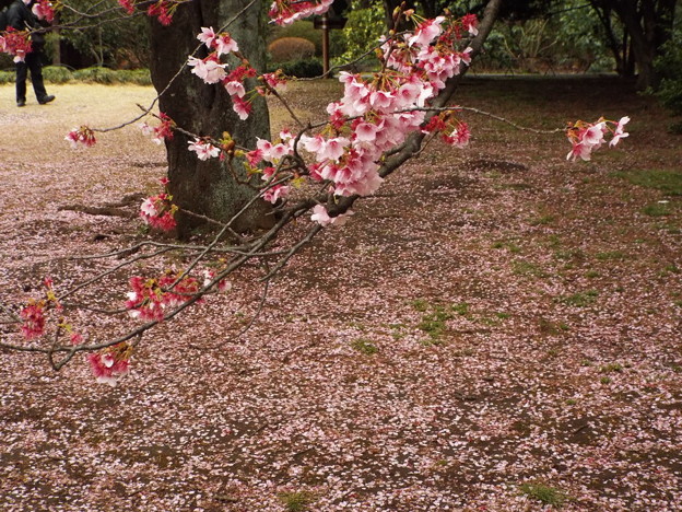 DSCF0182