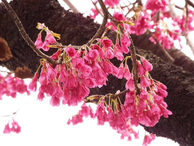 DSCF0020
