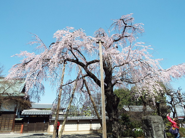 DSCF0020