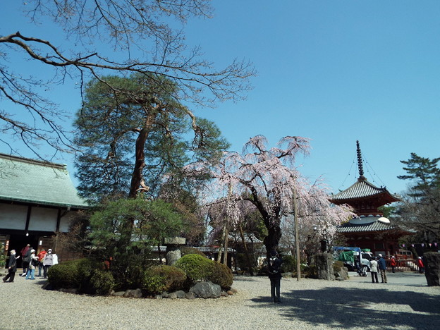 DSCF0038