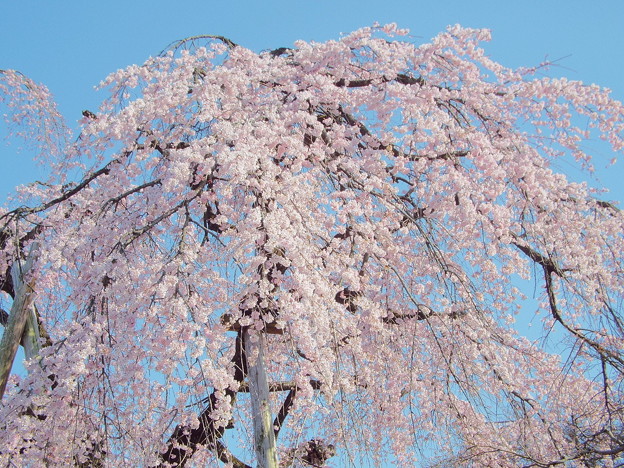 DSCF0433