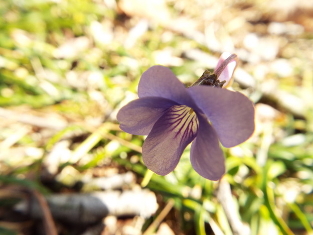 DSCF0027