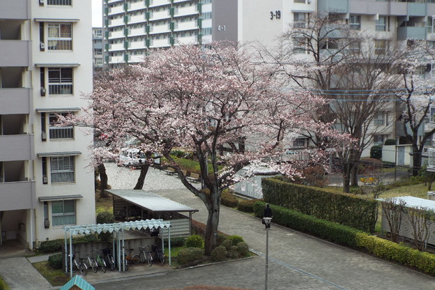 DSCF0001