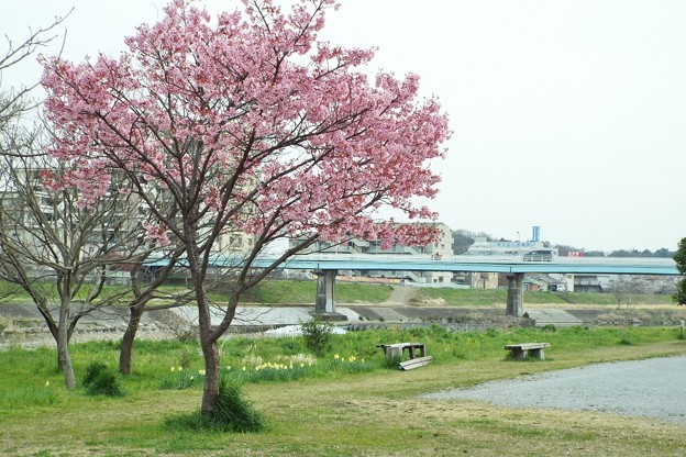 DSCF0387