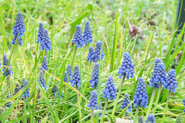 DSCF0464