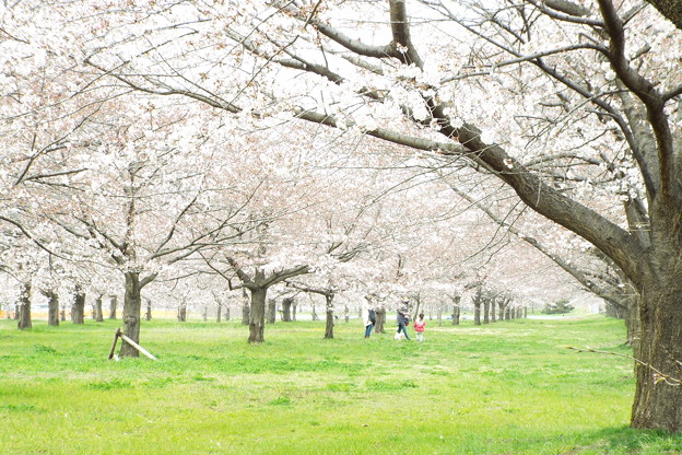 DSCF0352