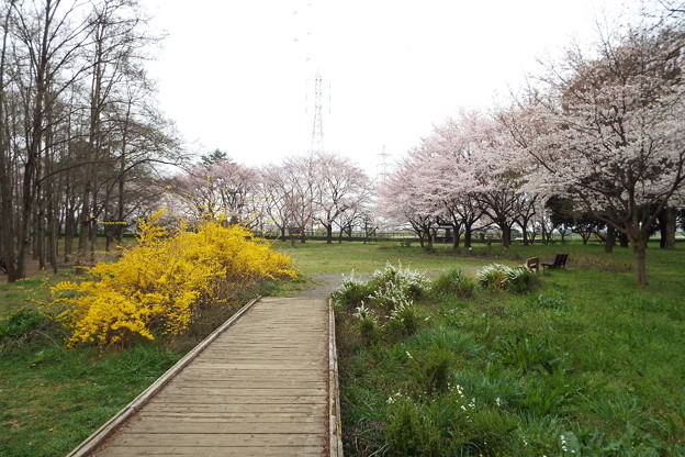 DSCF0030