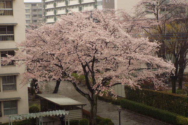 DSCF0009