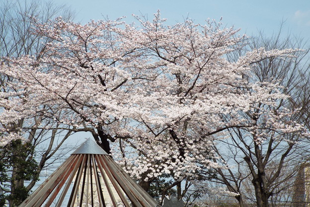 DSCF0310