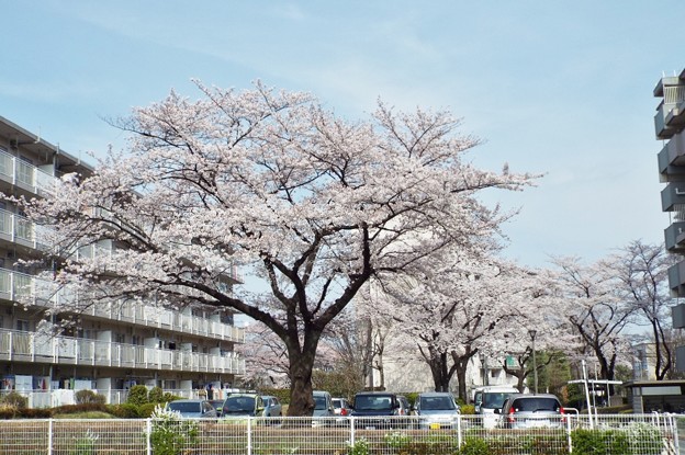 DSCF0283
