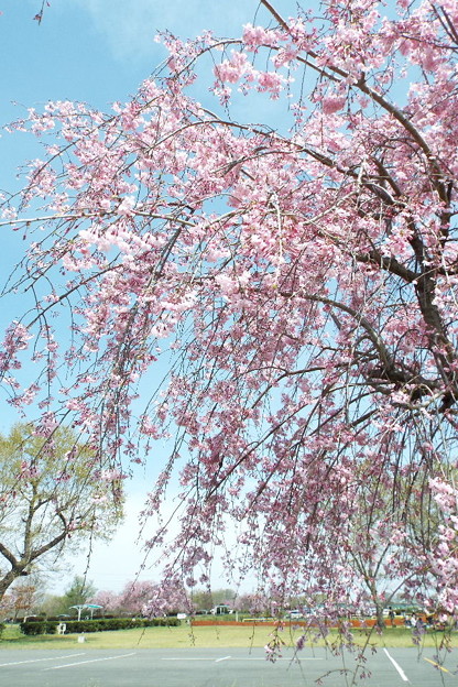 DSCF0035