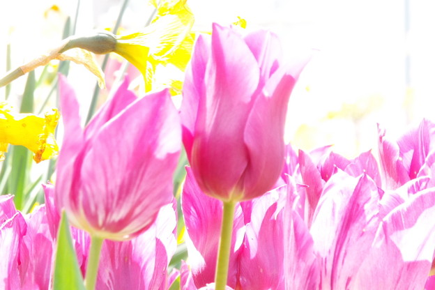 DSCF0094