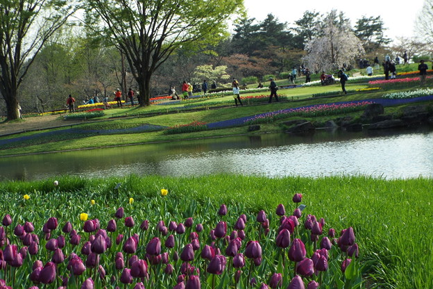 DSCF0825