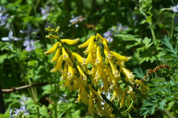DSCF0372