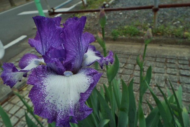 DSCF0403