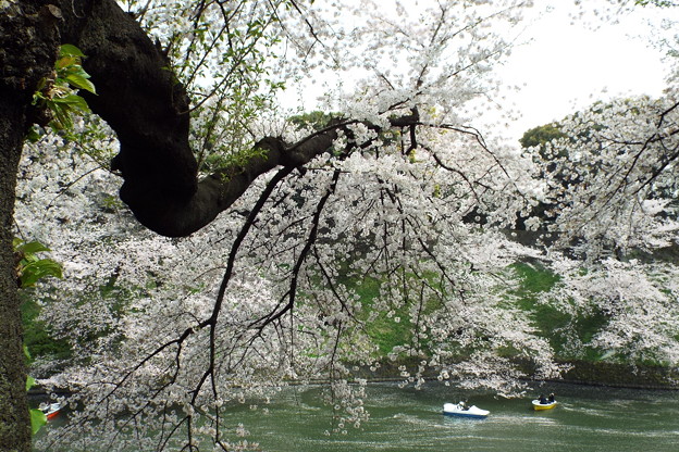 DSCF0270