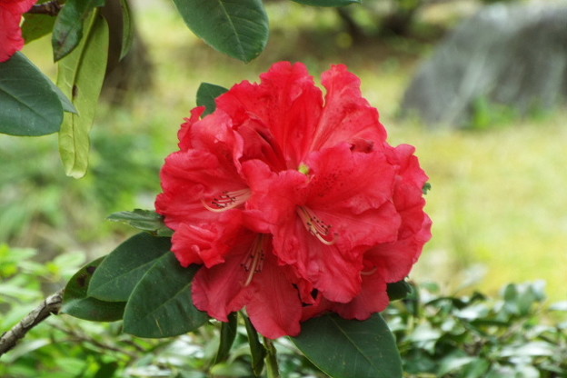 DSCF0143