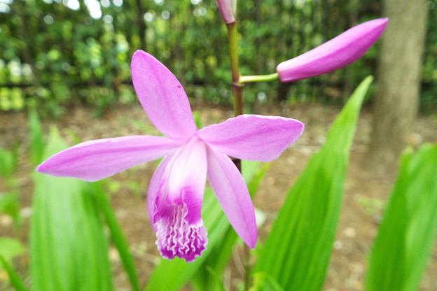 DSCF0164