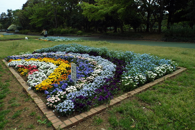 DSCF0237