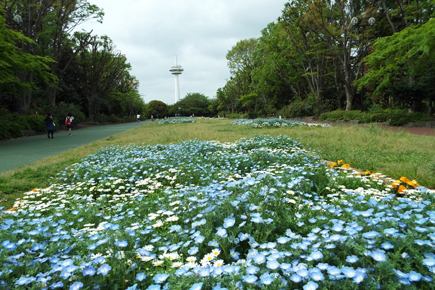 DSCF0244