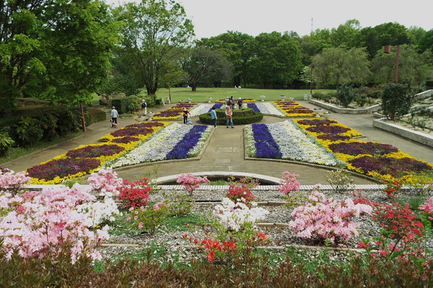 DSCF0474