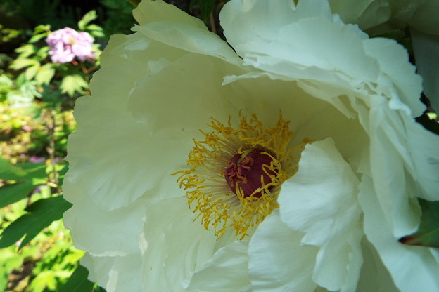 DSCF0103