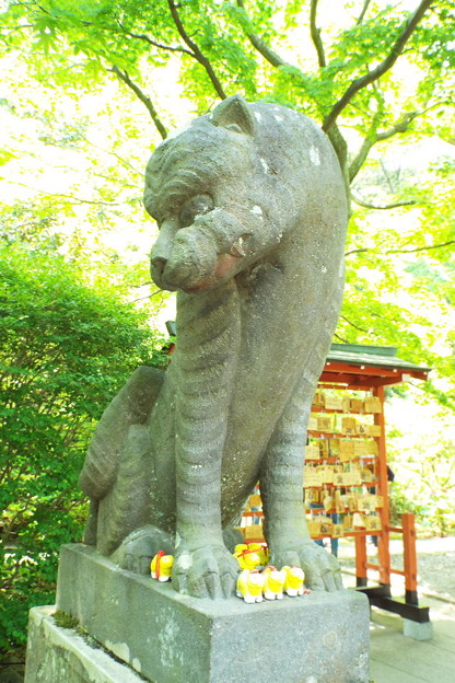 DSCF0092