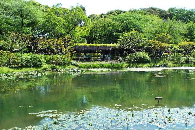 DSCF0148