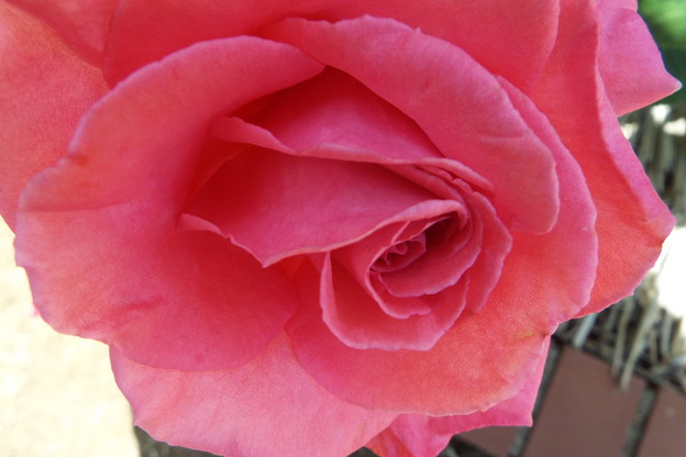 DSCF0175