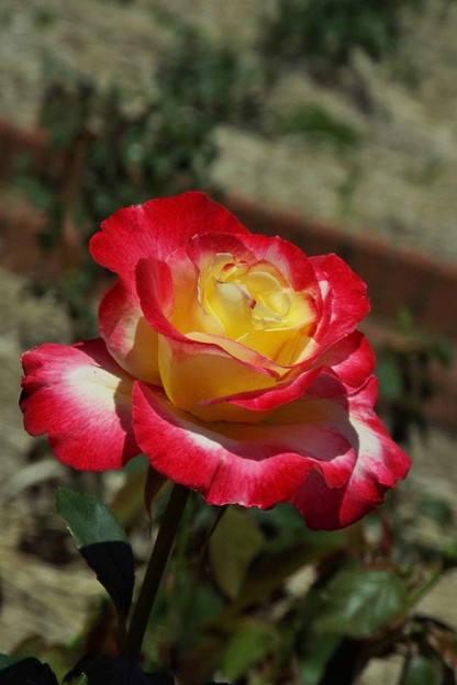 DSCF0188