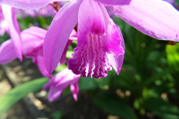 DSCF0419