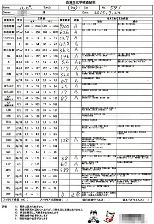 7月検査結果
