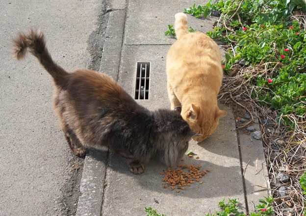 すぐに仲直り