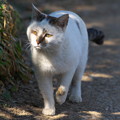 Photos: 息子も・・・